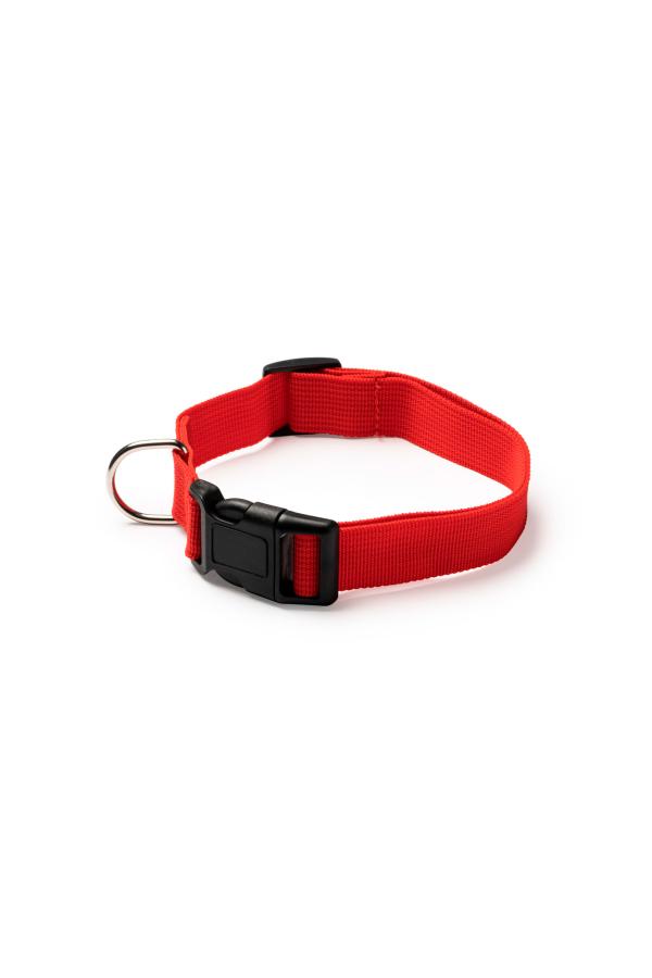 Korat Adjustable collar for pets